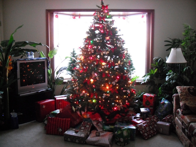 tree09.jpg