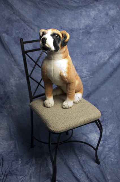 bowserchairsoftbox.jpg