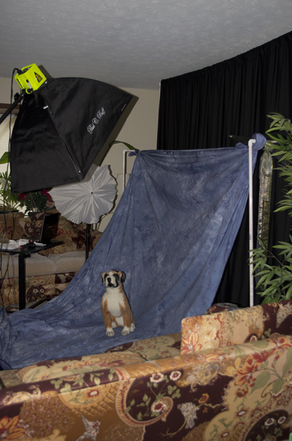 softboxandstand.jpg
